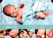 gavin-lee115