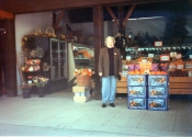 mom-farmers-market191