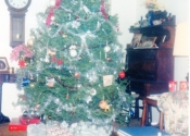 christmas-tree-white-house066